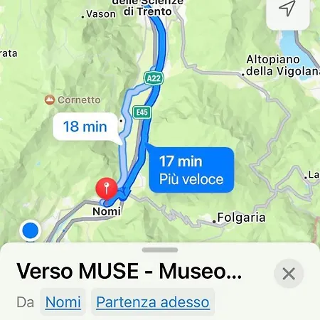 Merighi *